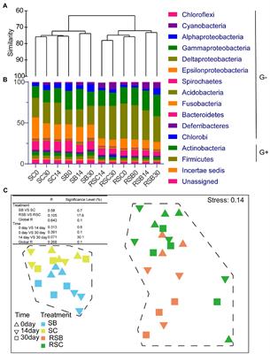 Biochar Addition Altered Bacterial Community and Improved Photosynthetic Rate of Seagrass: A Mesocosm Study of Seagrass Thalassia hemprichii